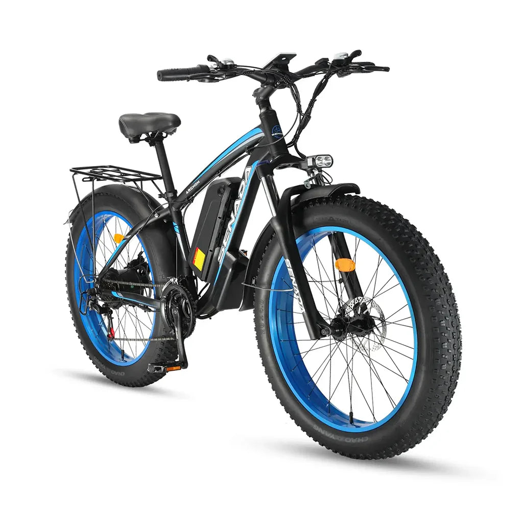 Electric Bike